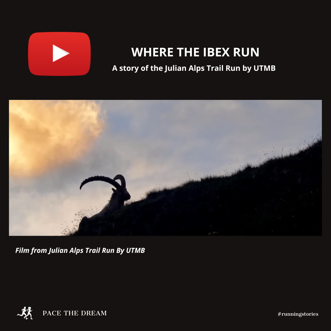 WHERE THE IBEX RUN